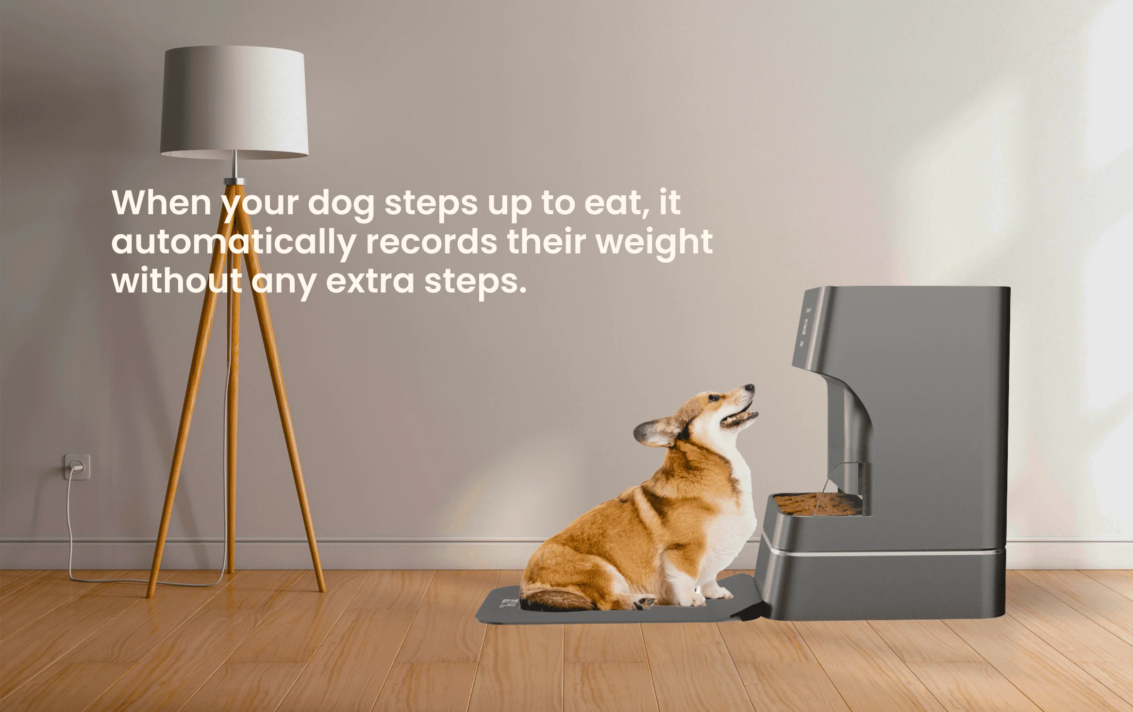 A dog stepping up to the FitFido feeder; the built-in scale records its weight with no extra step.